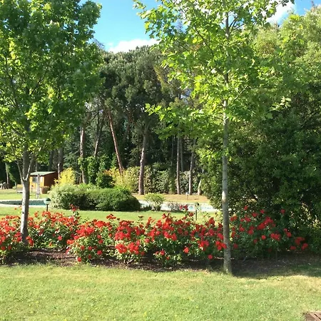 Casa Di Chiarilu' Appartamento Cortona